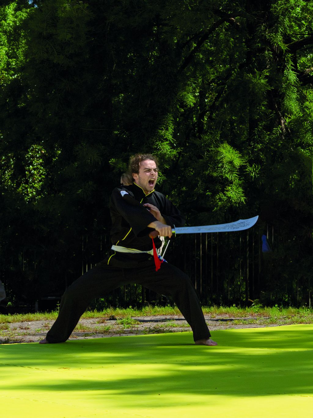 🥉3 Classificato - Leandro - Soffio del Drago Lodi